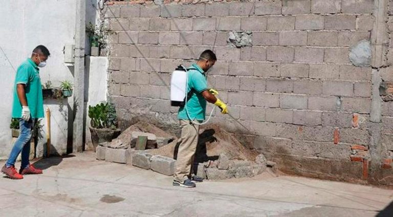 dengue tucuman 3