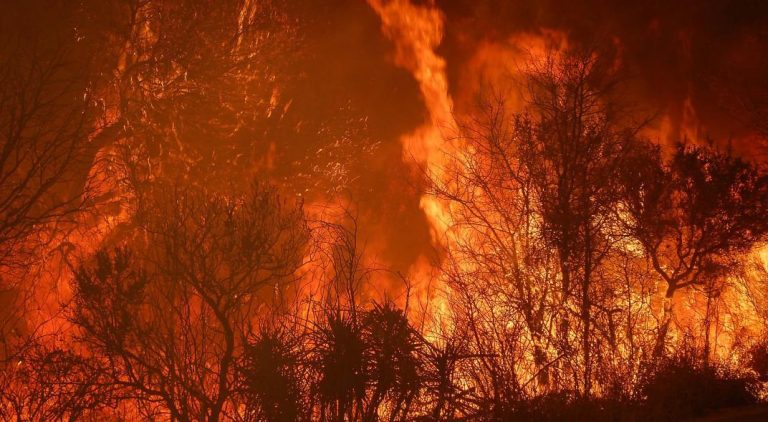 Incendios forestales
