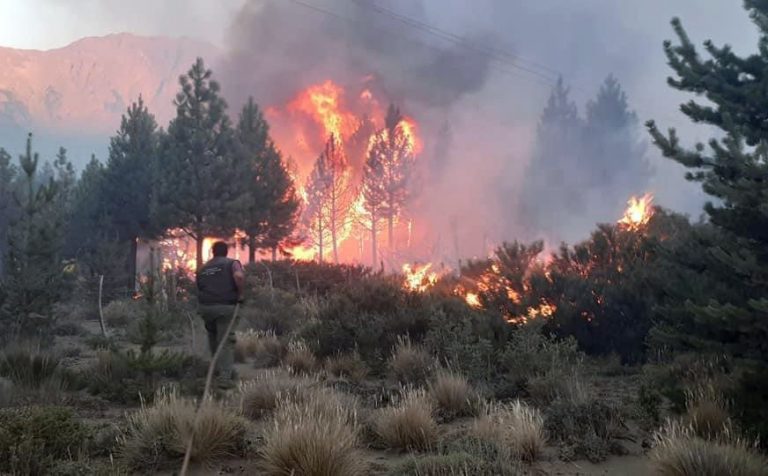 incendioen elbolson.26.1.21