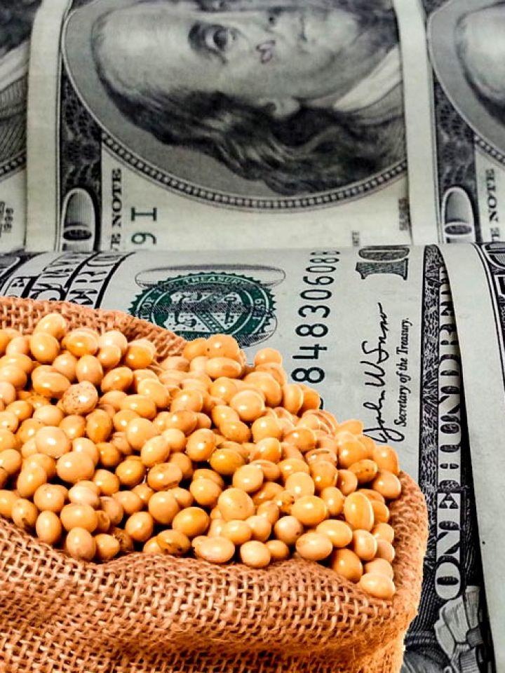 soja