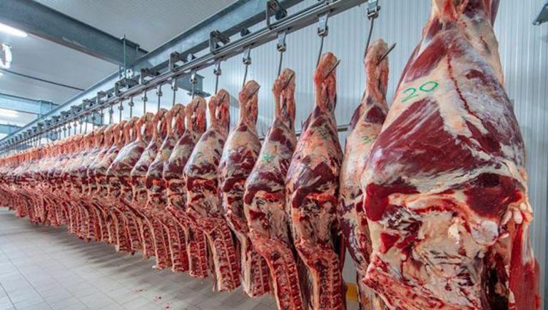 Carne bb42cf