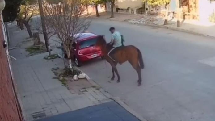 robo caballo alto general paz cordoba