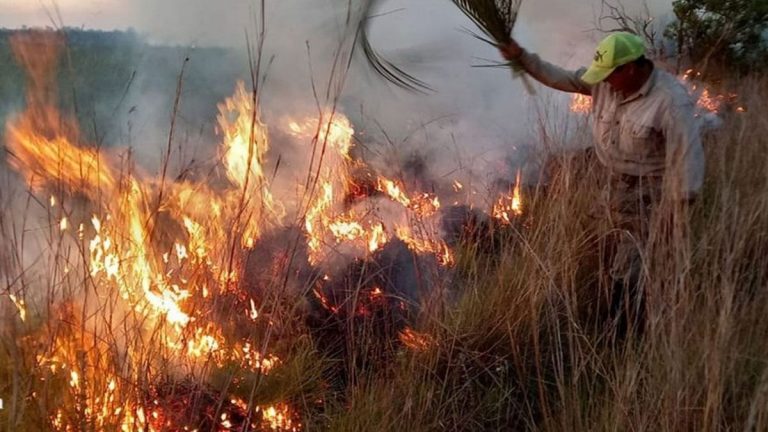 incendios corrientesjpg