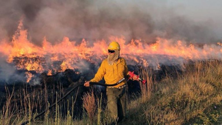 incendios en corrientes 20220216 1313762