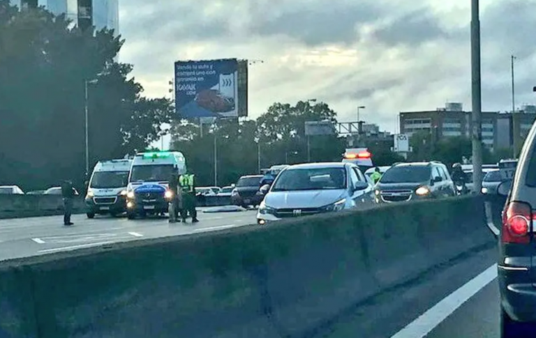 panamericana