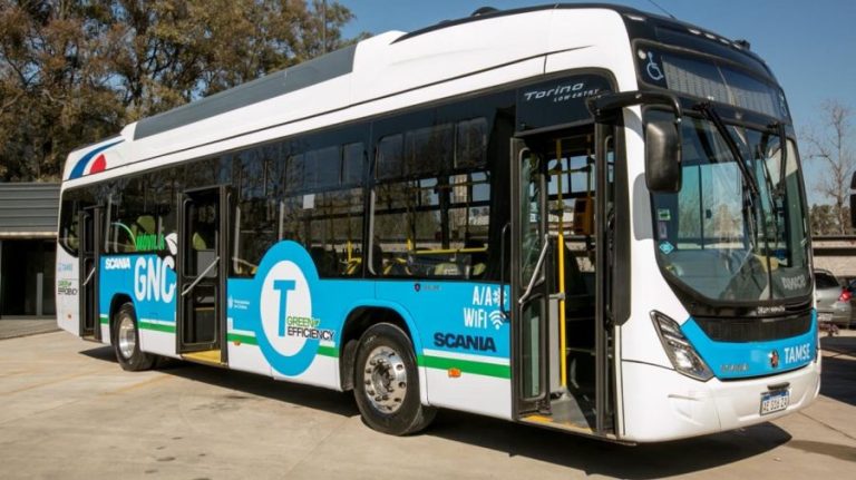 colectivos sustentables 20220802 1395787