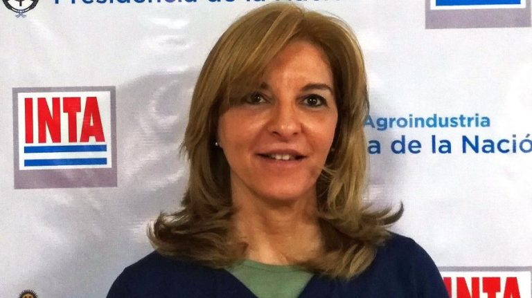 silvia colletti 1415001