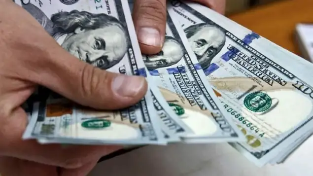 dolar-blue-record-hasta-donde-puede-llegar-la-divisa-paralela-en-las-proximas-semanas-1481030