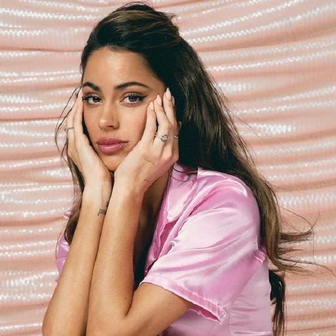 Qué delitos podría enfrentar el padre de Tini Stoessel según un abogado penalista 1 tini stoessel 84546fdf