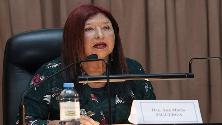 DRA ANA MARIA FIGUEROA JUEZA