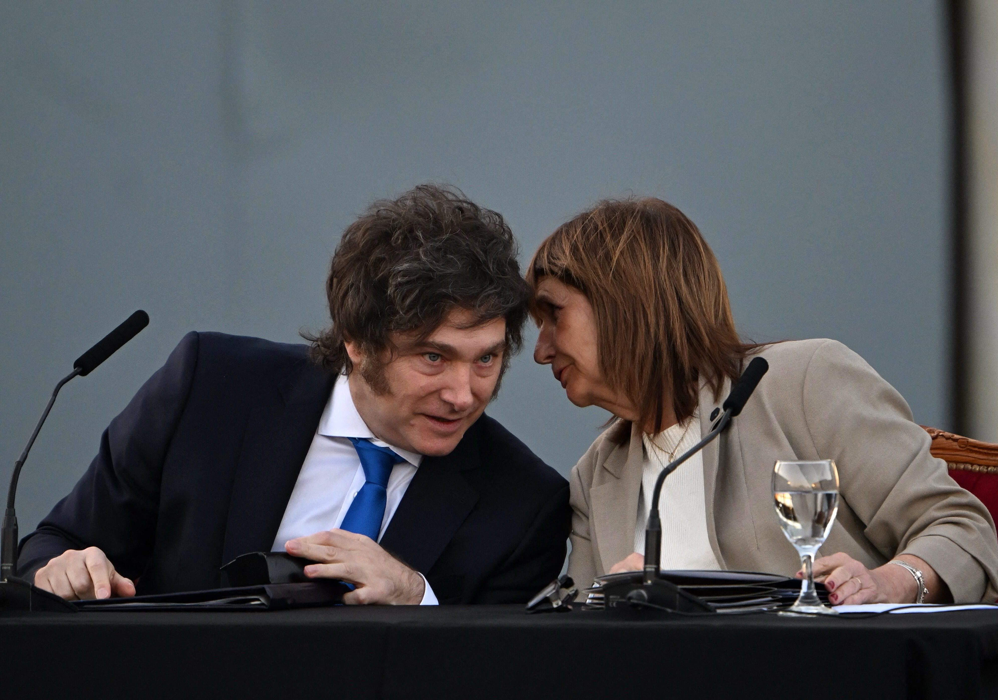 El Senado postergó el debate de la ley de Inviolabilidad de la Propiedad Privada hasta el 6 de agosto 1 ley antibarras 2