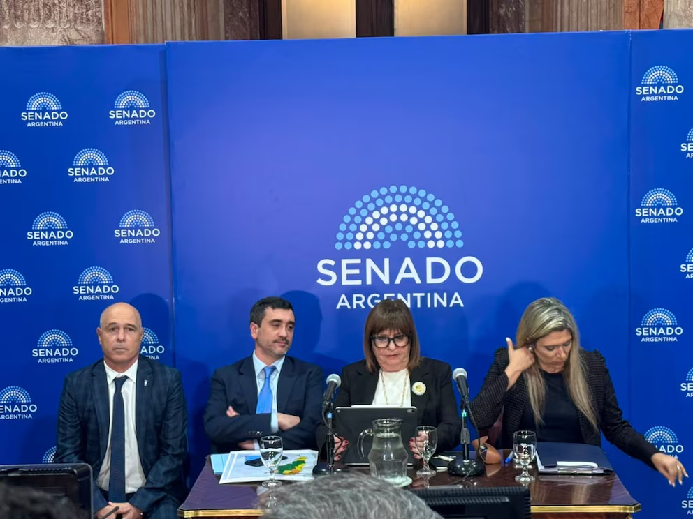 Bullrich negocia cambios en la Ley de Tierras: propone elevar al 25% el límite para extranjeros y busca asegurar los votos en el Senado 1