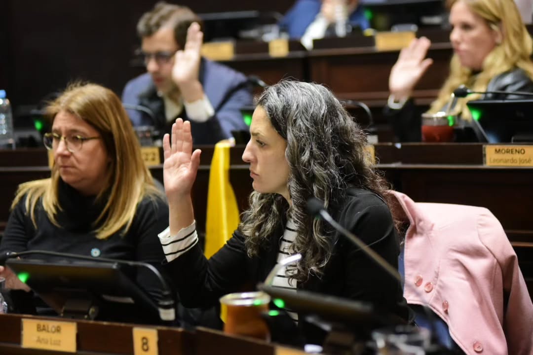 el dia miercoles tuve el honor y la responsabilidad de jurar como diputada de la provincia 1